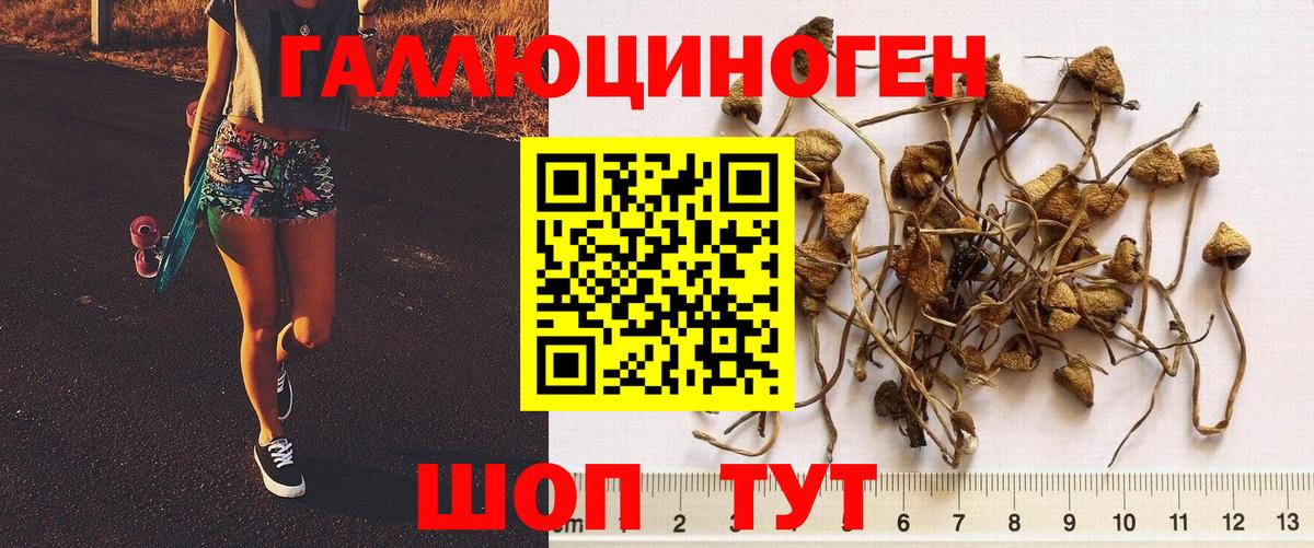 Тимашёвск  Галлюциногенные грибы прущие грибы  Вход с VPN  Галлюциногенные грибы мухоморы 